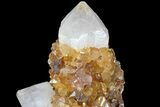 Sunshine Cactus Quartz Crystal Cluster - South Africa #80208-2